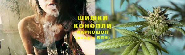 spice Вяземский