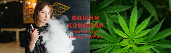 PSILOCYBIN Вязьма
