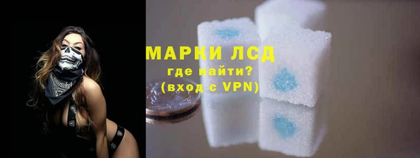 spice Вяземский