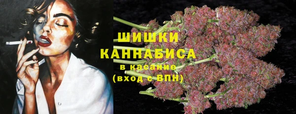 spice Вяземский