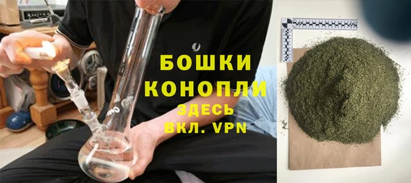 spice Вяземский