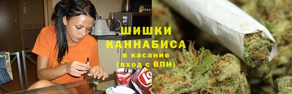 PSILOCYBIN Вязьма