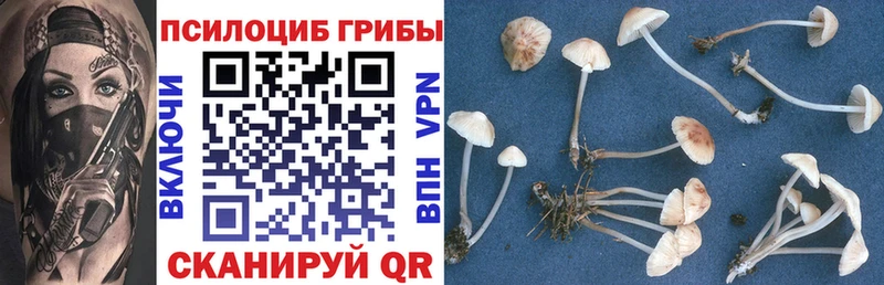 Галлюциногенные грибы мицелий  Купить  Нерехта 